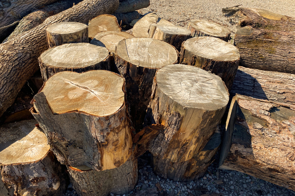 Wooden Hardwood Chopping Block and Wood Rounds at Durham Firewood in Pickering