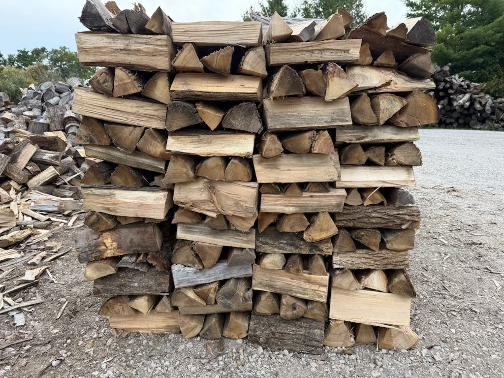 Firewood Bush Cord - 12"