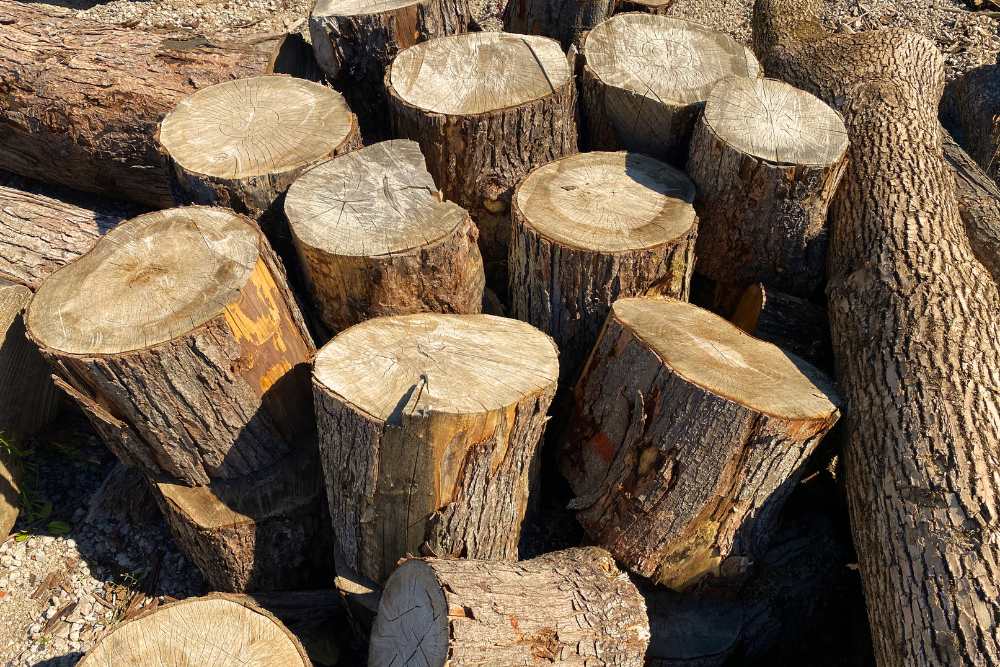 Chopping Blocks and Wood Rounds at Durham Firewood